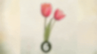 Choose your favorite flowers and see what kind of love you have?
