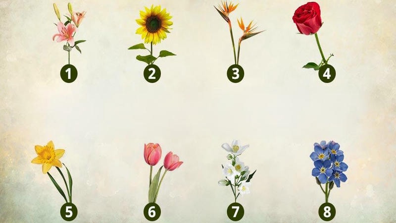 Choose your favorite flowers and see what kind of love you have?
